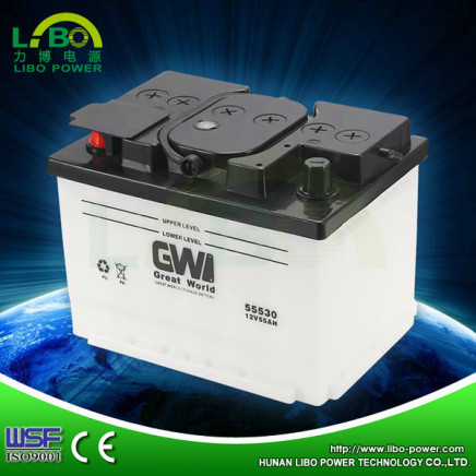 12V55ah Starting Battery Automotive Battery