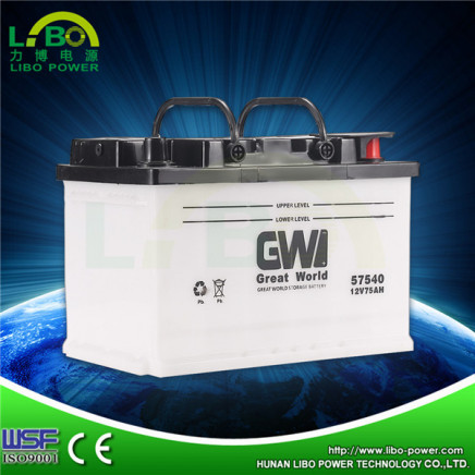12V75ah Dry Charged Car Battery for Sale with Competitive Price