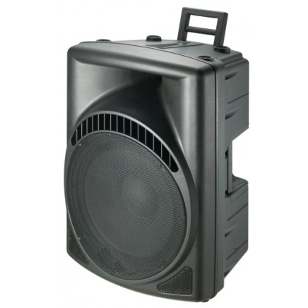 15" 2-Way PA Speaker Box/Plastic Speaker/ Cabinet