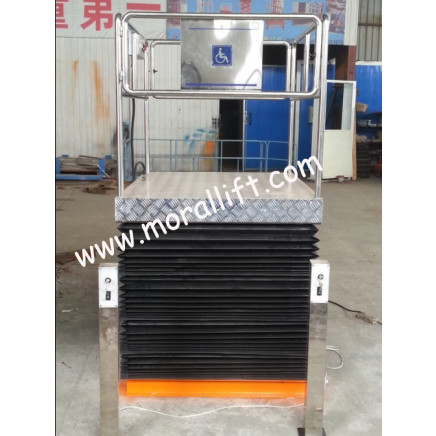 200kg Capacity 3persons Home Elevator