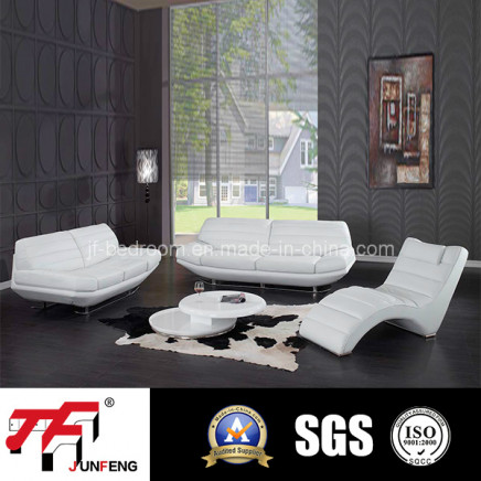 2014 Modern Leather Sofa Jfs-5