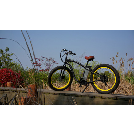 2015 Hot Sale 500W 48V Electric Fat Tire Bike with Lithium Battery