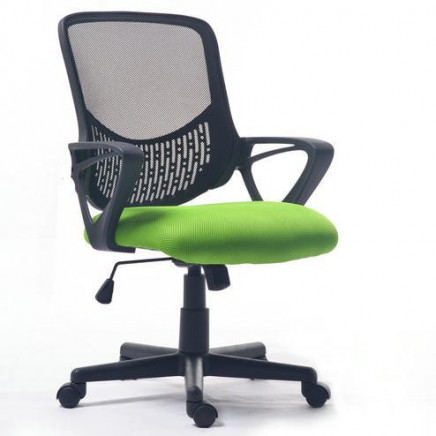 2015 Modern Executive Manager Chair Office Mesh Chair (FS-1025)
