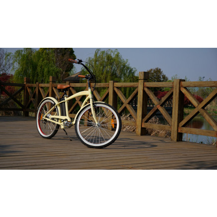 250W 36V Cool Adult Electric Man Beach Cruzer (TDE06Z-1214)