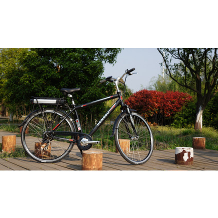 250W 36V Cool Man Electric Bicycle for European