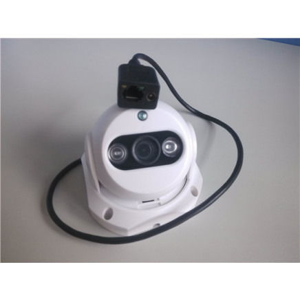 2PCS Array LED Water-Proof CMOS Sensor IR-Cut Digital IP Camera