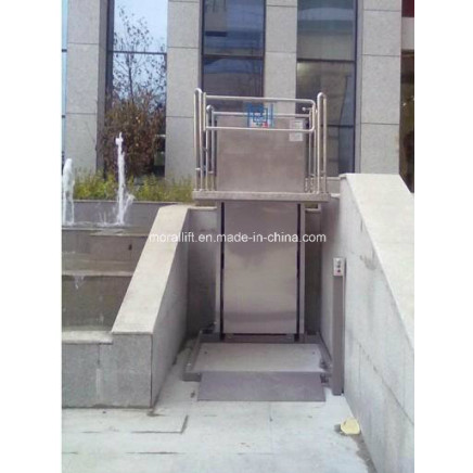 300kg Capacity Home Lift