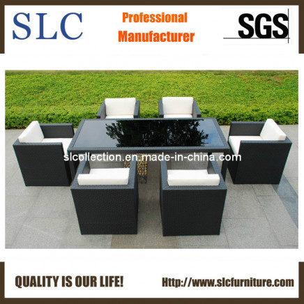 6 Seater Outdoor Tables/Chairs (SC-B8894)