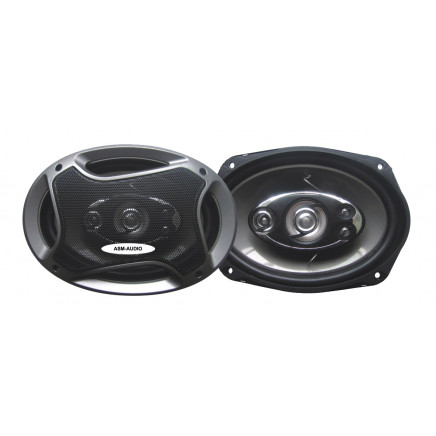 6 X 9-Inch 5-Way Coaxial Speaker