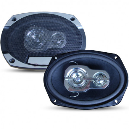 6"X9" Car Speaker (TS-6975)
