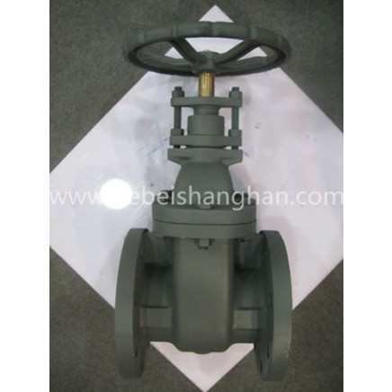 ANSI Cast Iron Non Rising Stem Gate Valve
