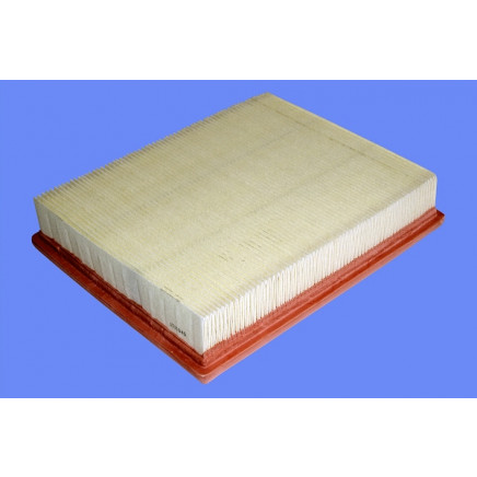 Air Filter 1444G9 for Peugeot