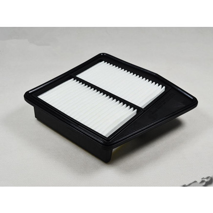 Air Filter 17220r60u00 for Honda