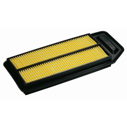 Air Filter 17220raay00 for Honda