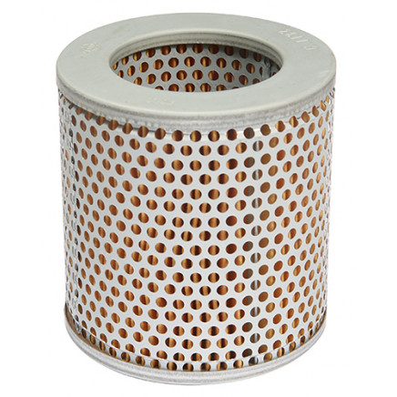 Air Filter C1132 for Man