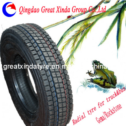 All Steel Radial Bus Tire