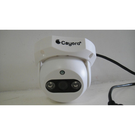 Array LED Low Illumination PTZ Dome Support NVR IP Camera