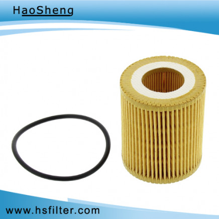 Auto Accessories Auto Oil Filter (71737926)