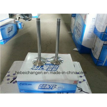 Auto Engine Parts Air Intake Valve/Exhaust Valve