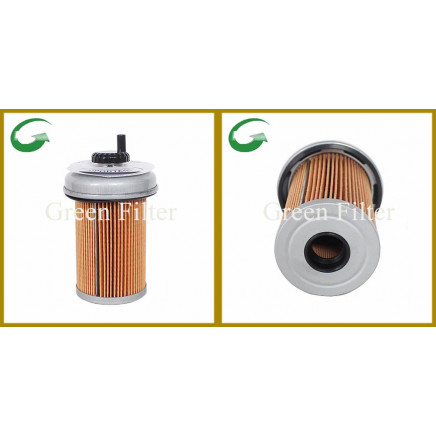 Auto Fuel Filter for GM (10154635)