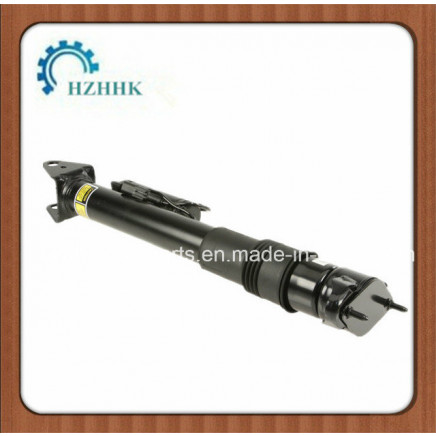 Auto Parts Car Front Shock Absorber for BMW (2513201031)