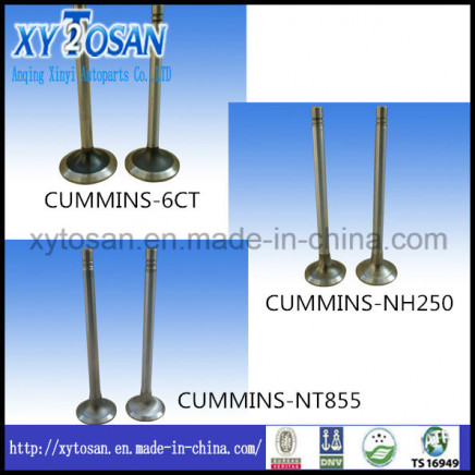 Auto Parts Engine Valve for Commins Cummins Nt855 6CT Nh250