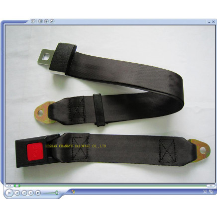 Auto Seat Belts