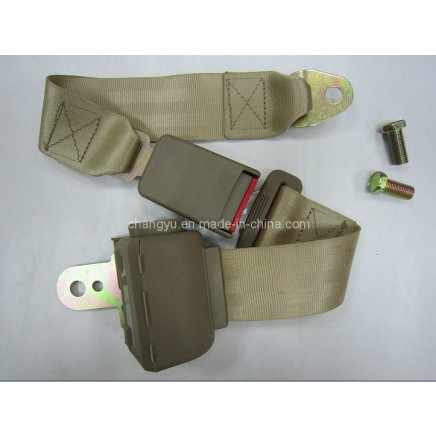 Automatic 2-P Seat Belt (CY206B-2)