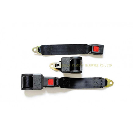 Automatic 2-P Seat Belts