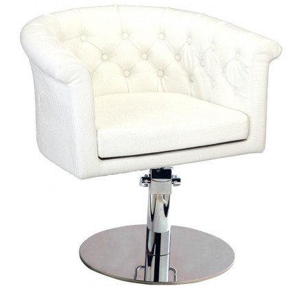 Beautiful Design Salon Chair (MY-007-49)