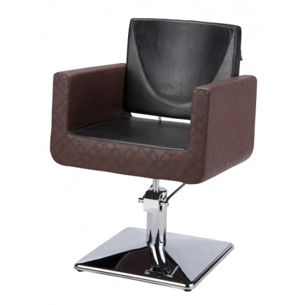 Beauty Salon Furniture Barber Chair (MY-011)