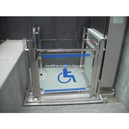 Best Wheelchair Platform Lift (SJG II)