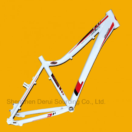 Bike Frame, Bicycle Frame for Sale Tim-FM902