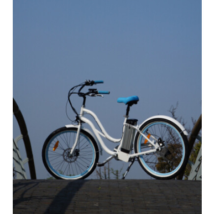 CE Approved 36V 250W Green Power City Electric Charging Bikes for Sale