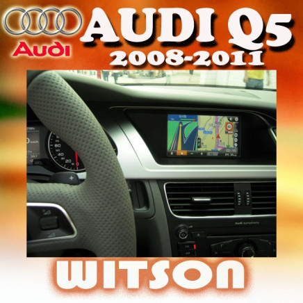 Car DVD Audi Q5 (W2-D9760A)