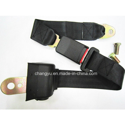 Car Safety Belts 2 Points Polyester Seat Belt (CY206B-2)