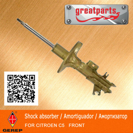 Car Shock Absorber for Citroen C5 Auto Shock Absorber