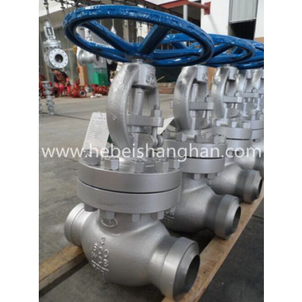 Cast Steel 3" 1500lb Globe Valve
