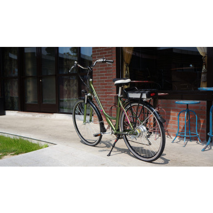 Cheap Chinese 28' Electric Bike in Germany