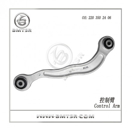 China Auto Control Arm for Mercedes Benz W220