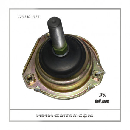 China Best Car Ball Joint for Benz W123 Auto Parts
