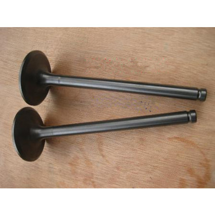 China Diesel Engine Spare Parts Intake and Exhaust Valves