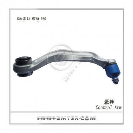 China Famous Brand Control Arm Car Suspension for BMW F07