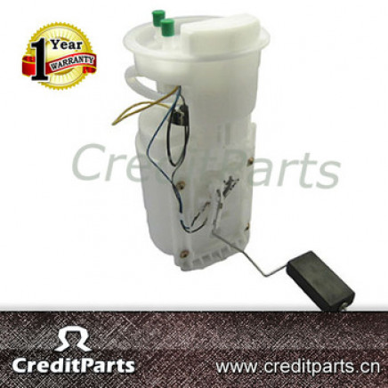 China Made Airtex E8424m Fuel Pump Module for Vw (CRP8424M)