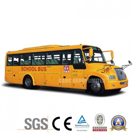 China Popular School Bus of Zk6100da