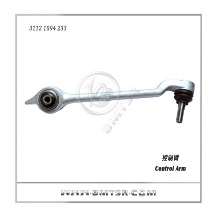 China Supplier Car Control Arm for BMW E39