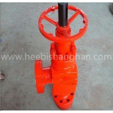 Choke Valve