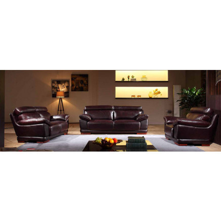 Classcal Designed Leather Sectional Sofa Furniture (N806)