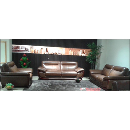 Classical Itailan Leather Sectional Sofa Furniture (N856)