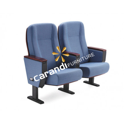 Commercial Meeting Furniture Auditorium Chair (Rd8601)